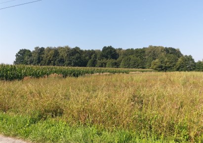 działka na sprzedaż - Bestwina, Bestwinka