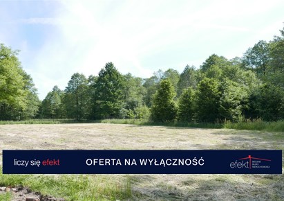 parcel for sale - Buczkowice