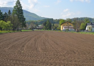 parcel for sale - Goleszów