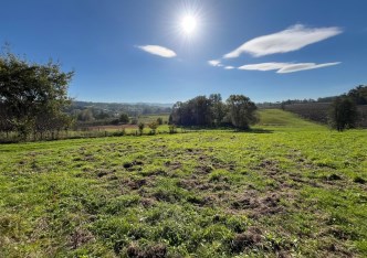 parcel for sale - Jasienica, Wieszczęta